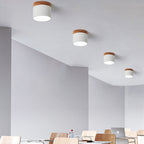 Plafond med trädetalj och färgad kåpa